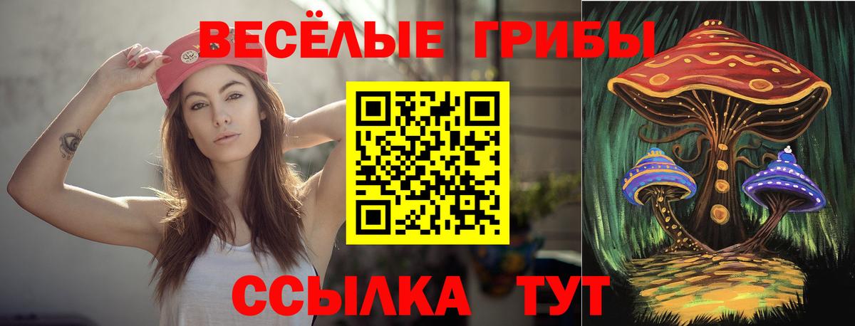 Псилоцибиновые грибы прущие грибы  Галлюциногенные грибы Cubensis  Вход с VPN  Ленинск-Кузнецкий 